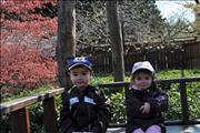 2010-04-11 10-43-46_0015
